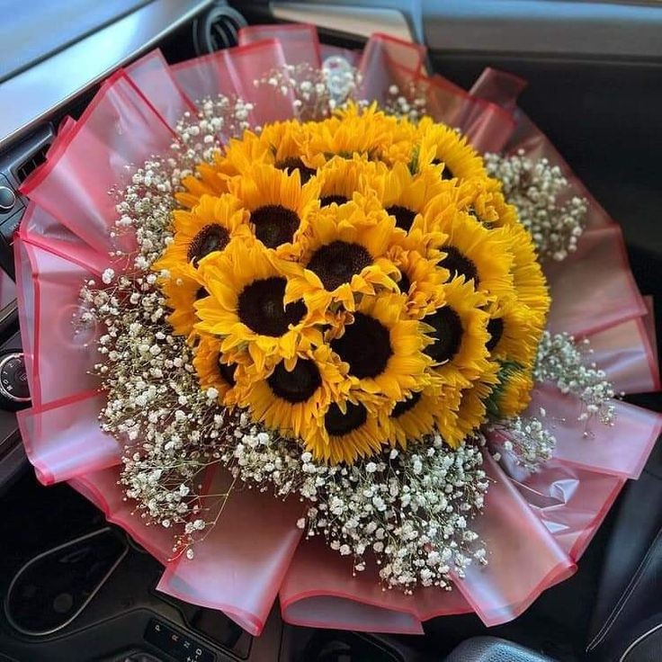 sunflowerchives's tweet photo. perfect ❤️ https://t.co/YlGYAgaPJu