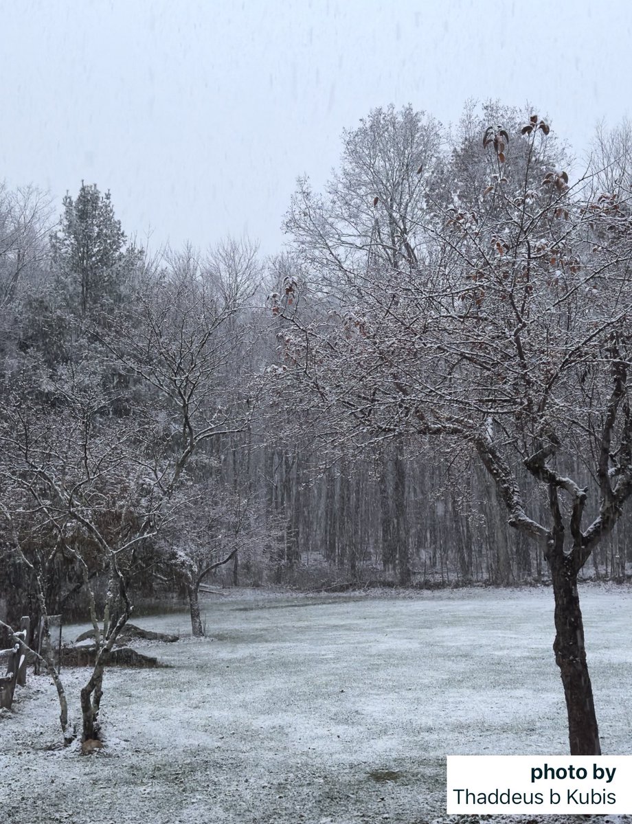 Eweather13's tweet photo. Sheffield, MA snow this am! #FirstFlakes 

Shared through the eweather app! 

#seeweathereweather https://t.co/0r7saMKJy1