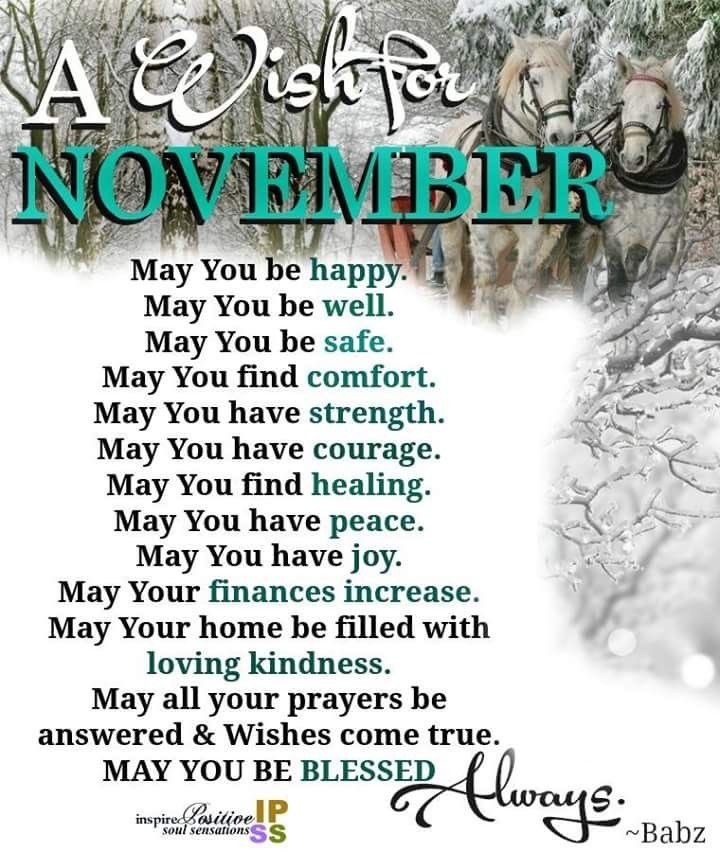 #November1st 
A Wish For You…
