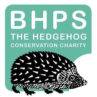 hedgehogsociety's tweet photo. Catch us on @BBCLancashire TODAY at 4.10pm where we'll be talking about #hedgehogs & how we can help keep them safe this #bonfirenight!
๐ฆ ๐ ๐ฅ๐งจ
Tune in!
#Hedgehog #conservation #BBCRadioLancs https://t.co/wZEFcQfc52