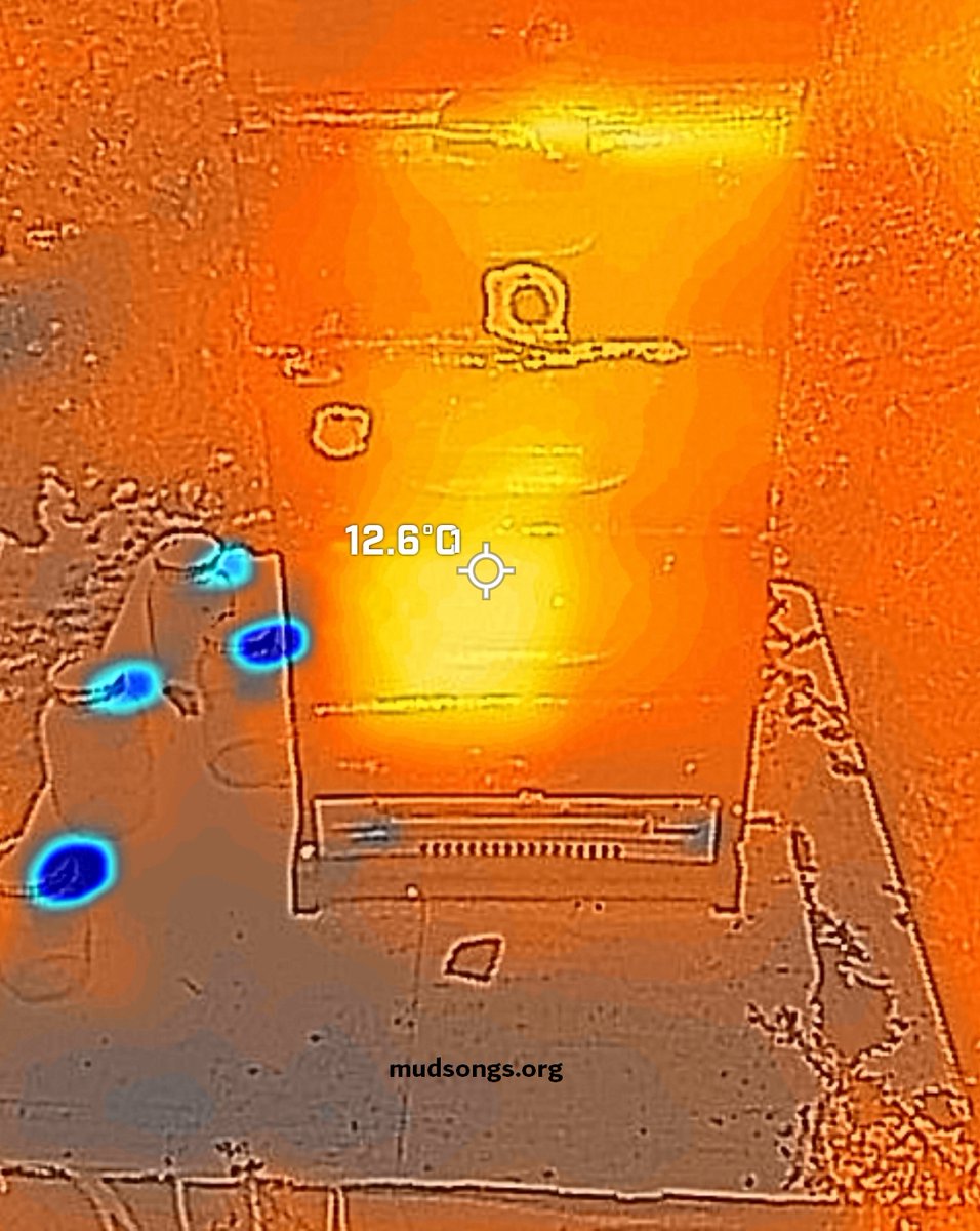 MudSongs's tweet photo. It's not too difficult to spot the cluster inside the hive with a thermal imaging camera on a frosty morning like today. I haven't added wrap or insulation yet.

#beekeeping #thermalimaging https://t.co/bCVQdNJbn5