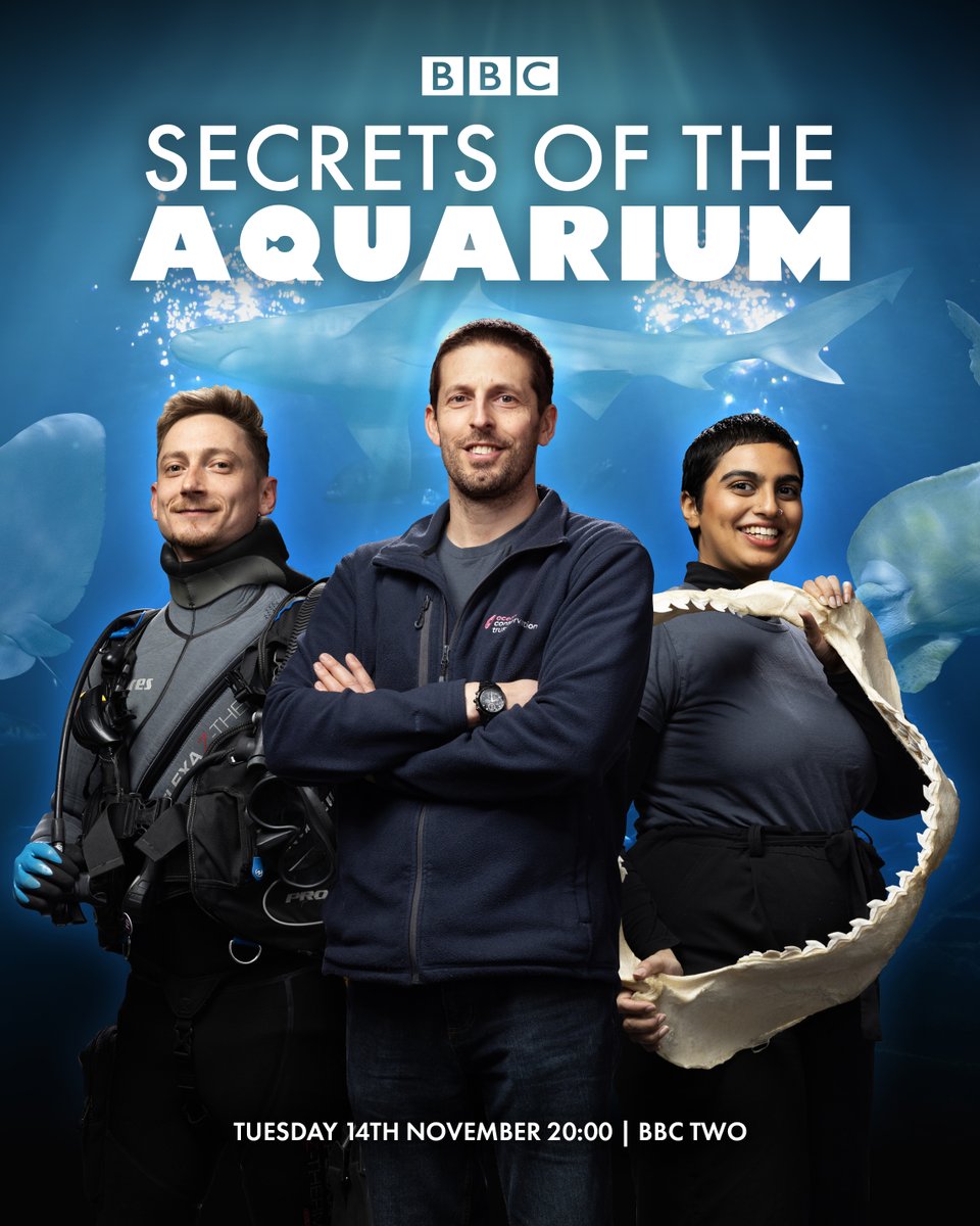 We’re thrilled to announce that Secrets of the Aquarium will air on BBC Two at 8.00PM from Tuesday the 14th of November!

To find out more about the show and keep up to date with all announcements, head to over to our website!
bit.ly/BBC-SOTA

#SecretsOfTheAquarium