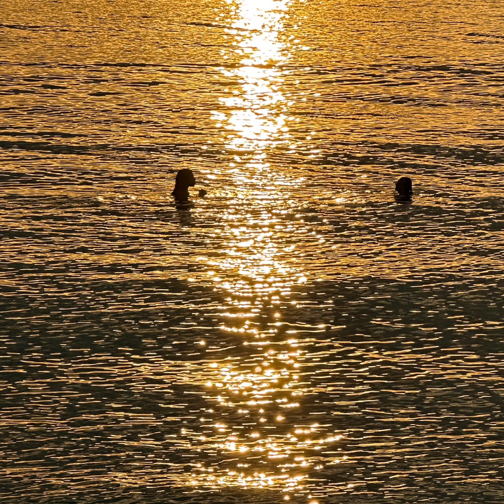 petchpechon's tweet photo. Koh Samed sunset vibes. 🧡✨🌅
.
.
.
#Petchography #เพชรถ่าย
#sunset #vibes #kohsamed #sea https://t.co/7D63O2Qj6P