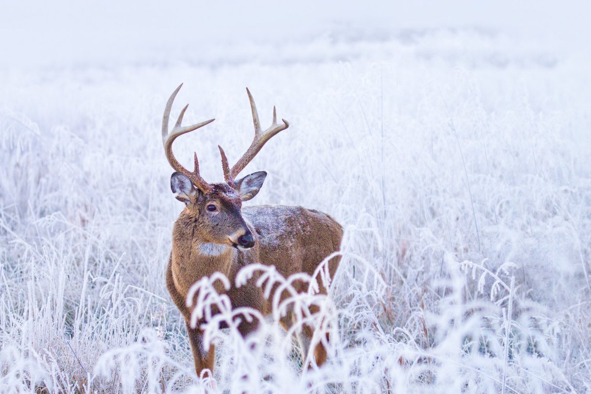 bernabephoto's tweet photo. Why, hello November! #photography https://t.co/JxFVoqU37q