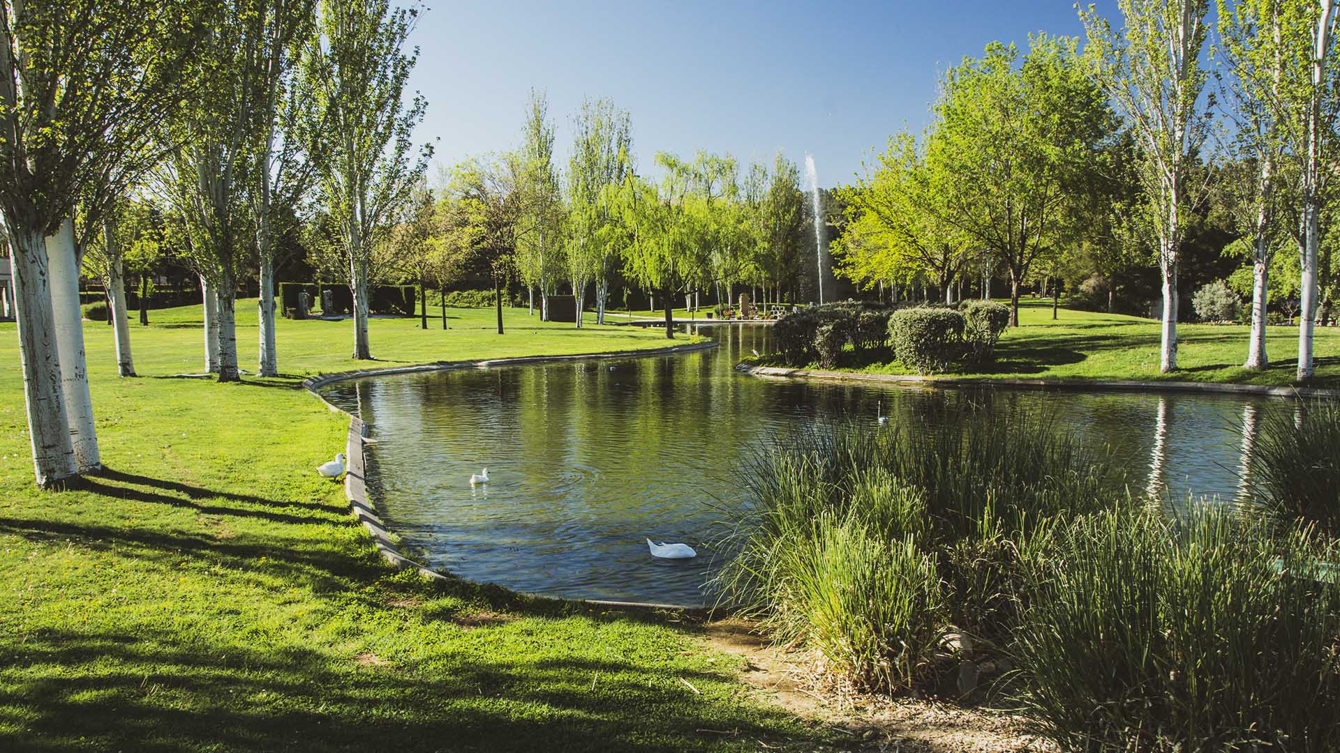 Foto cedida por Ayuntamiento de Alcalá 