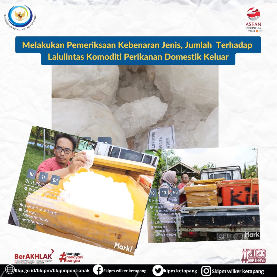 KIPM_ketapang's tweet photo. 01/11/23 Petugas  melakukan pemeriksaan kebenaran jenis, Jumlah terhadap lalu lintas komoditi perikanan Domestik Keluar.

@JimmyElwaren
@Victory_NADS
@TRIANDANA_FQI
#KKPThrive #EkonomiBiru #MenteriKKP #SaktiWahyuTrenggono https://t.co/bRwHhbLbcn