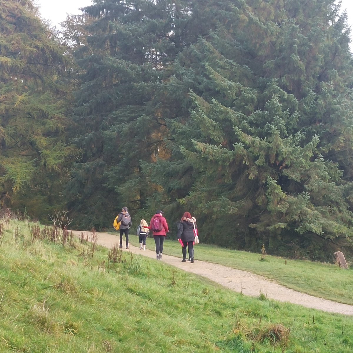 Thorntree Academy tweet media