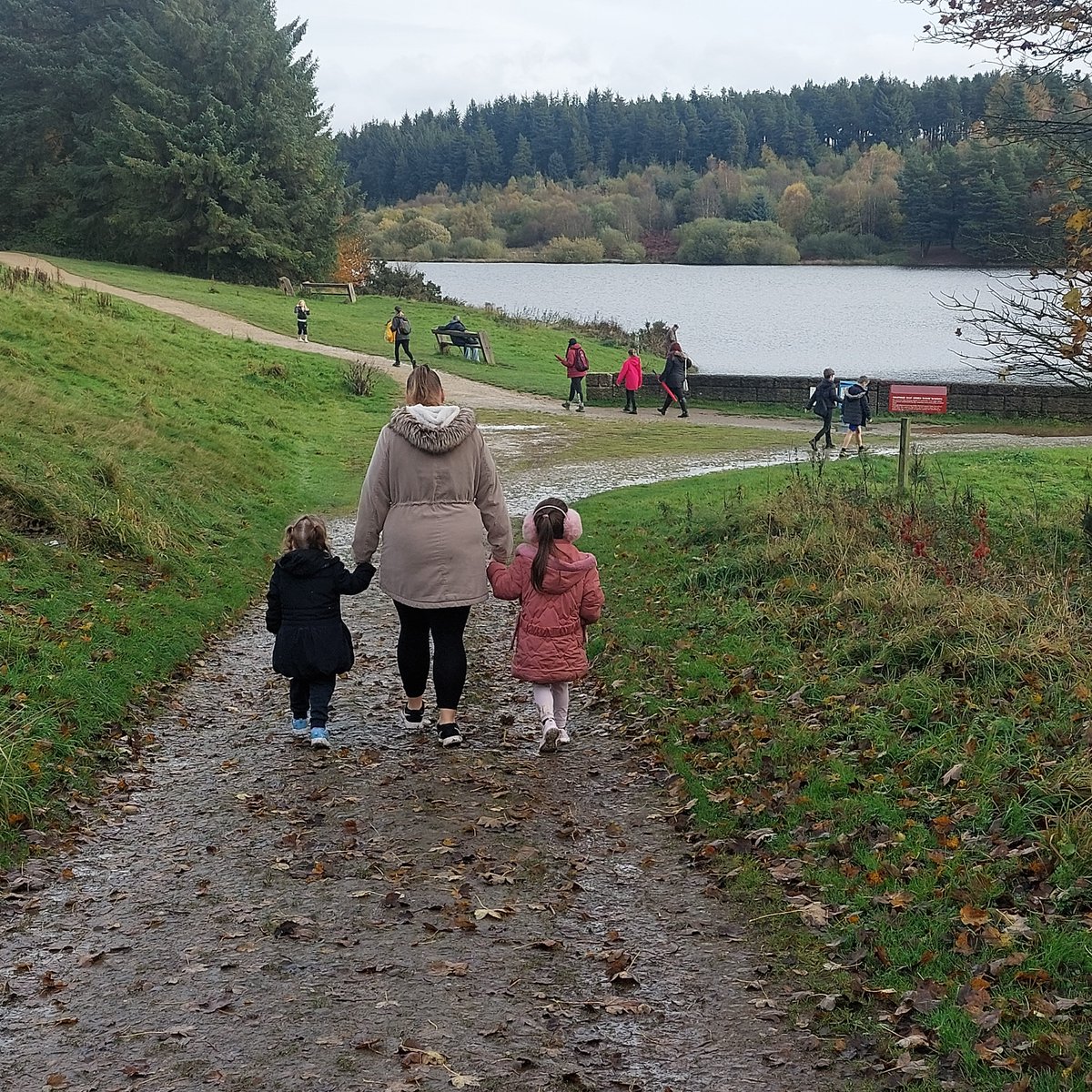 Thorntree Academy tweet media