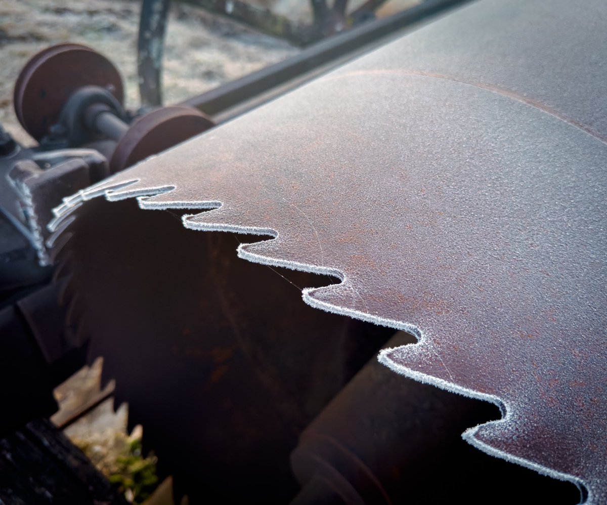 SSStave's tweet image. Heavy frost on the ol’ mill blade this morning. This antique saw greets us at the mill every day. 3 generations of family operated this mill. Lots changes but our family tradition milling world class barrel staves stays the same. 

We are working hard to get your next drink ready