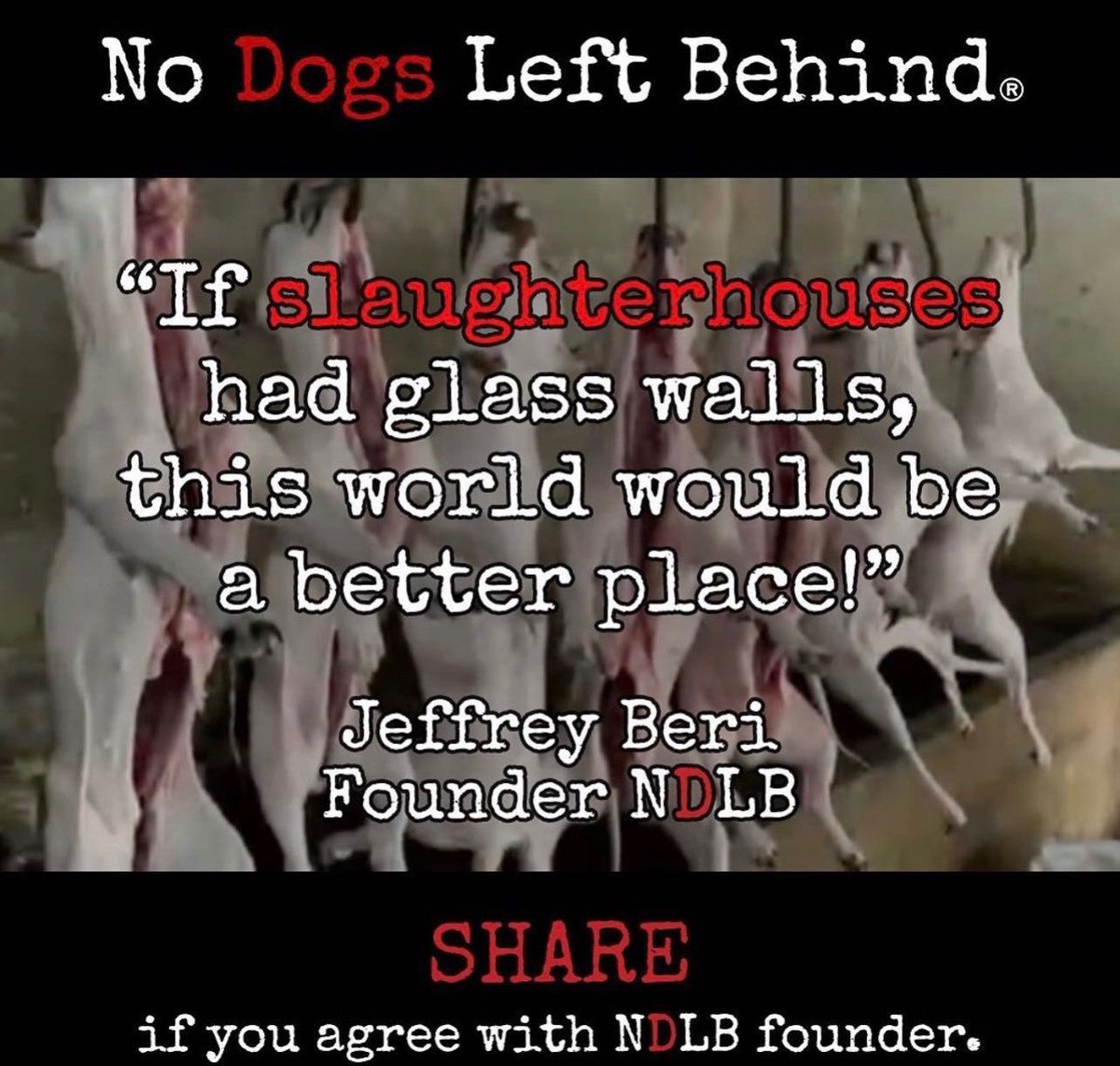 'If slaughterhouses had glass walls, the world would be a better place…'
- Jeffrey Beri
Founder, NDLB

#WorldVeganDay #EndTheCruelty #NoDogsLeftBehind #BeyondBorders #SaveLives #BeKind #allanimalsmatter