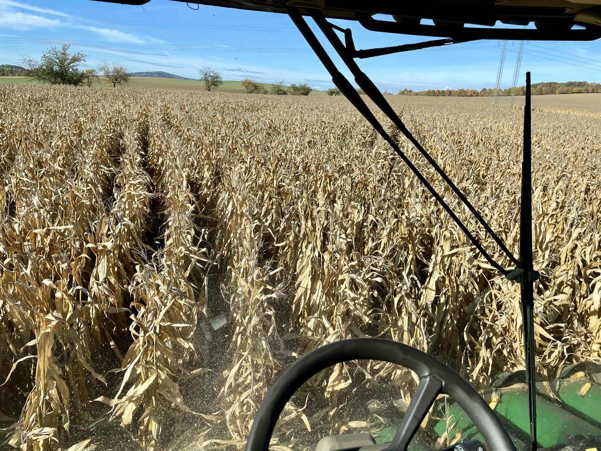 Nyt sitä kiittää kun on lohkot hajallaan. Saa nää kauemmatkin korjattua ennen lumia.