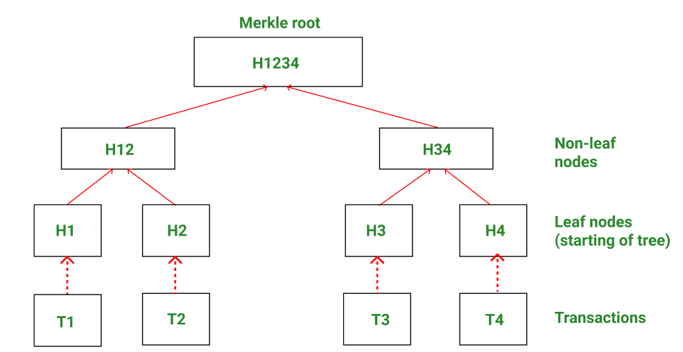 [#Witness]
Data that a light node receives from a full node to verify its account status. Witness contains the fragments of the state data required to execute the TXs in the block. Validator use it to verify that proposer has executed the block TX and updated the state correctly.
