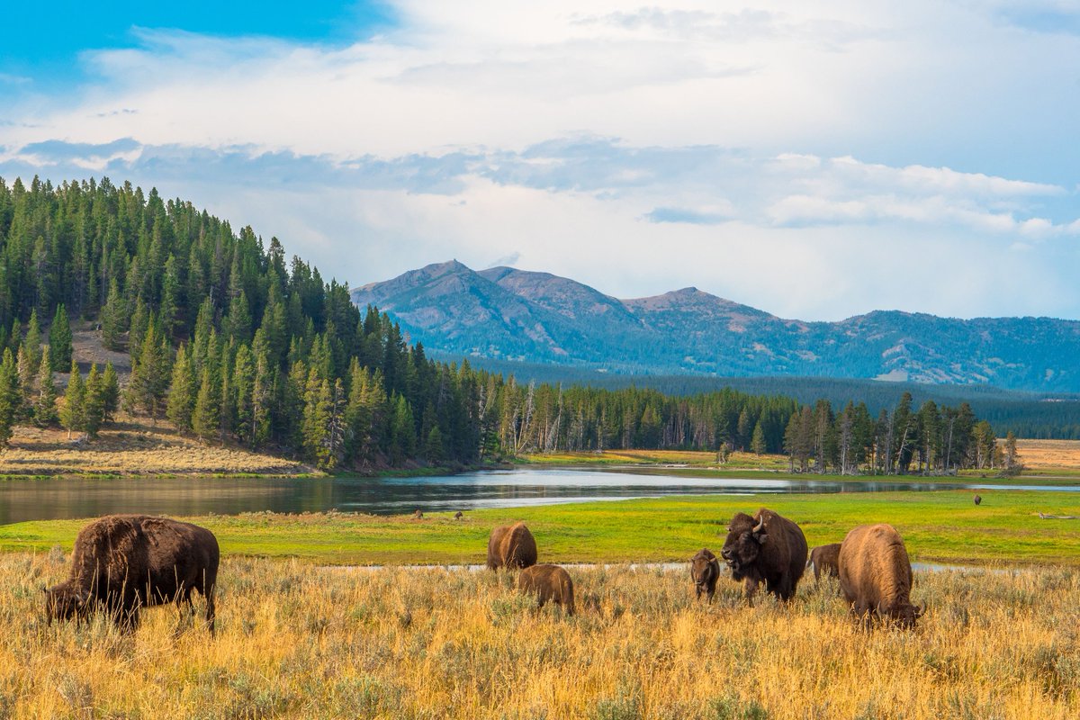 Pahrulitours's tweet photo. Yellowstone National Park – US
Pahruli Tours and Travels Pvt Ltd, Chennai
▶️ Follow us @ STAY TUNED FOR MORE
pahrulitours
▶️ Tag us #pahrulitours
#YellowstoneNationalPark #NatureDrama #WondersOfTheWild #yellowstone #yellowstonenationalpark #montana #photography #nationalparks https://t.co/L3m8zVIbcB