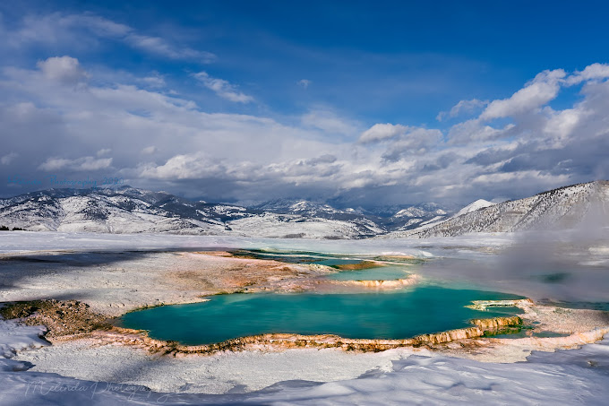 Pahrulitours's tweet photo. Yellowstone National Park – US
Pahruli Tours and Travels Pvt Ltd, Chennai
▶️ Follow us @ STAY TUNED FOR MORE
pahrulitours
▶️ Tag us #pahrulitours
#YellowstoneNationalPark #NatureDrama #WondersOfTheWild #yellowstone #yellowstonenationalpark #montana #photography #nationalparks https://t.co/L3m8zVIbcB