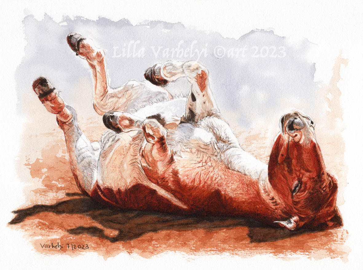 LillaVarhelyi's tweet photo. Inkpainting #artwork #forsale 23x31
#Tuschebild mit Esel zu verkaufen😊
Preis & Infos/Pn
#Tusche #inkdrawing #artforsale #originaldrawing #drawings #zeichnen #kleineKunstklasse #donkey #esel #animaldrawing #tierliebe #tierzeichnung #kunstkaufen #kunstverkauf #artistsontwitter https://t.co/CdPW9OtxKC