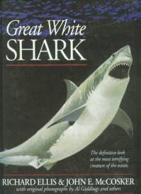 MA Sharks 🦈 tweet media