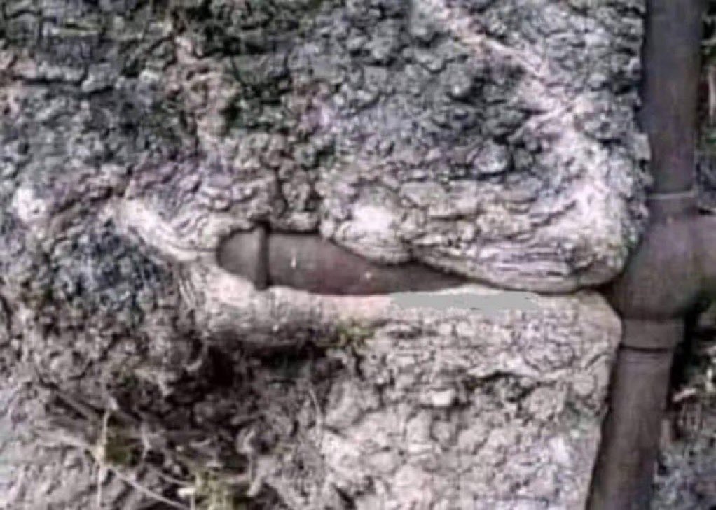 Quando você tenta tirar mas ela trava as pernas 🤭🤪