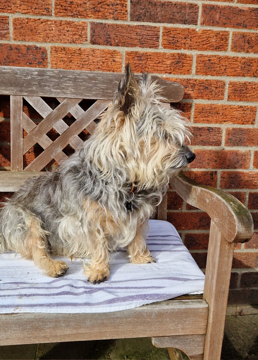 Here's me "Won't look Wednesday" pic 😉😉🧡
#WontLookWednesday #BovverBoys