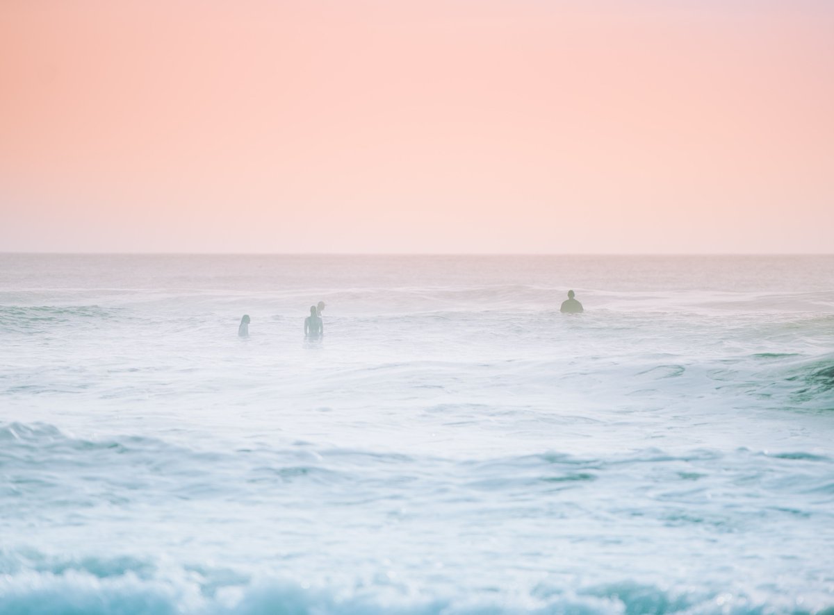 FloridA1Aonline's tweet photo. Waiting for the perfect wave in Cocoa Beach, Florida.
📷: Annie Spratt @anniespratt
#CocoaBeach #cocoabeachfl #florida #floridalife
#floridaliving #surfing #surfingislife #surfinglifestyle
#surfingparadise #A1A #floridA1A #StateRoadA1A
#scenica1a #a1ahighway #scenica1ahighway https://t.co/3H3iPn1bVb