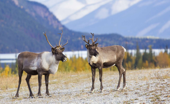 Shared Value Solutions tweet media