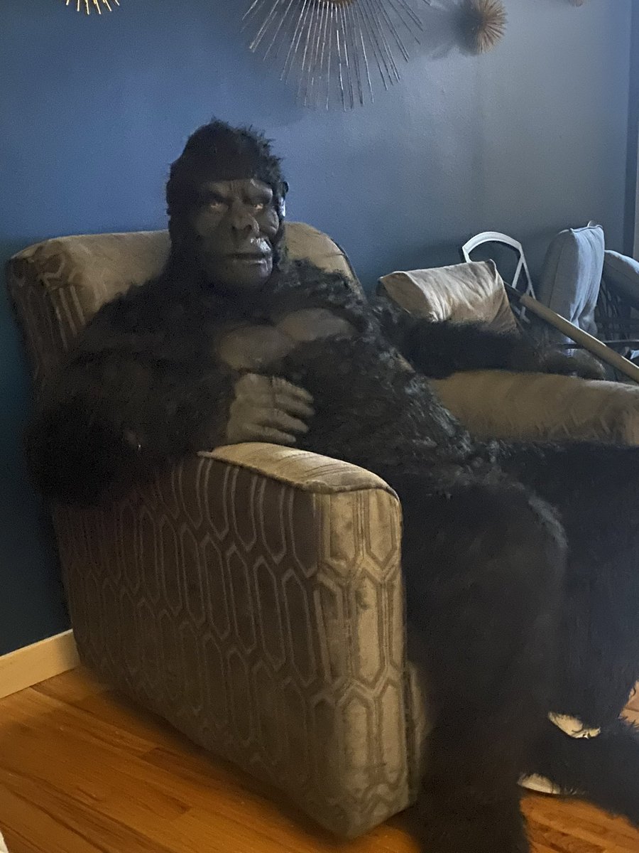 Doyman 🐜 (@doyman) on Twitter photo 