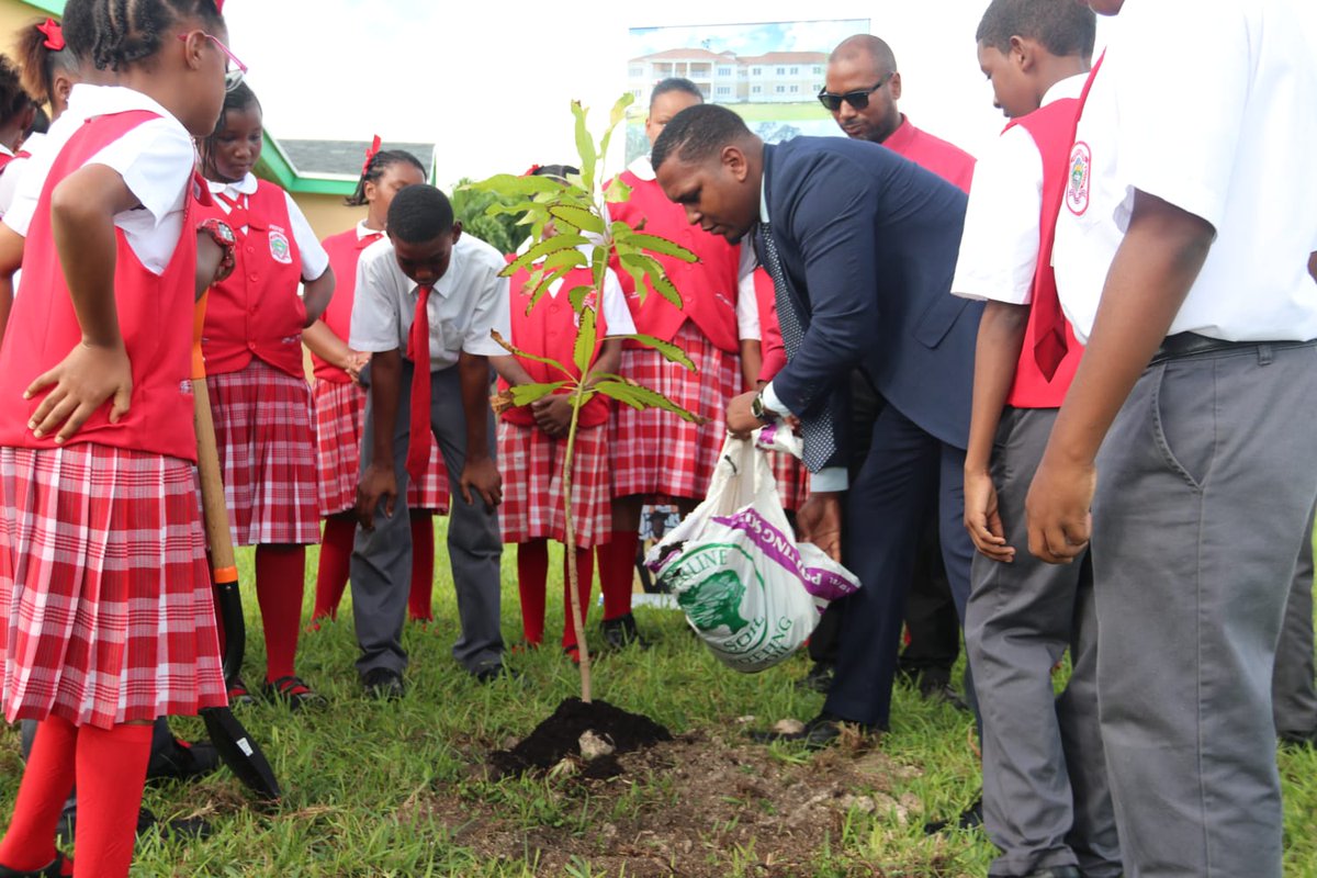 JamahlStrachan's tweet photo. Planting fruit trees at Sadie Curtis Primary School with Chairman Tyrel Young and the student body. 1 to 1 challenge https://t.co/oBdPdbBpDb