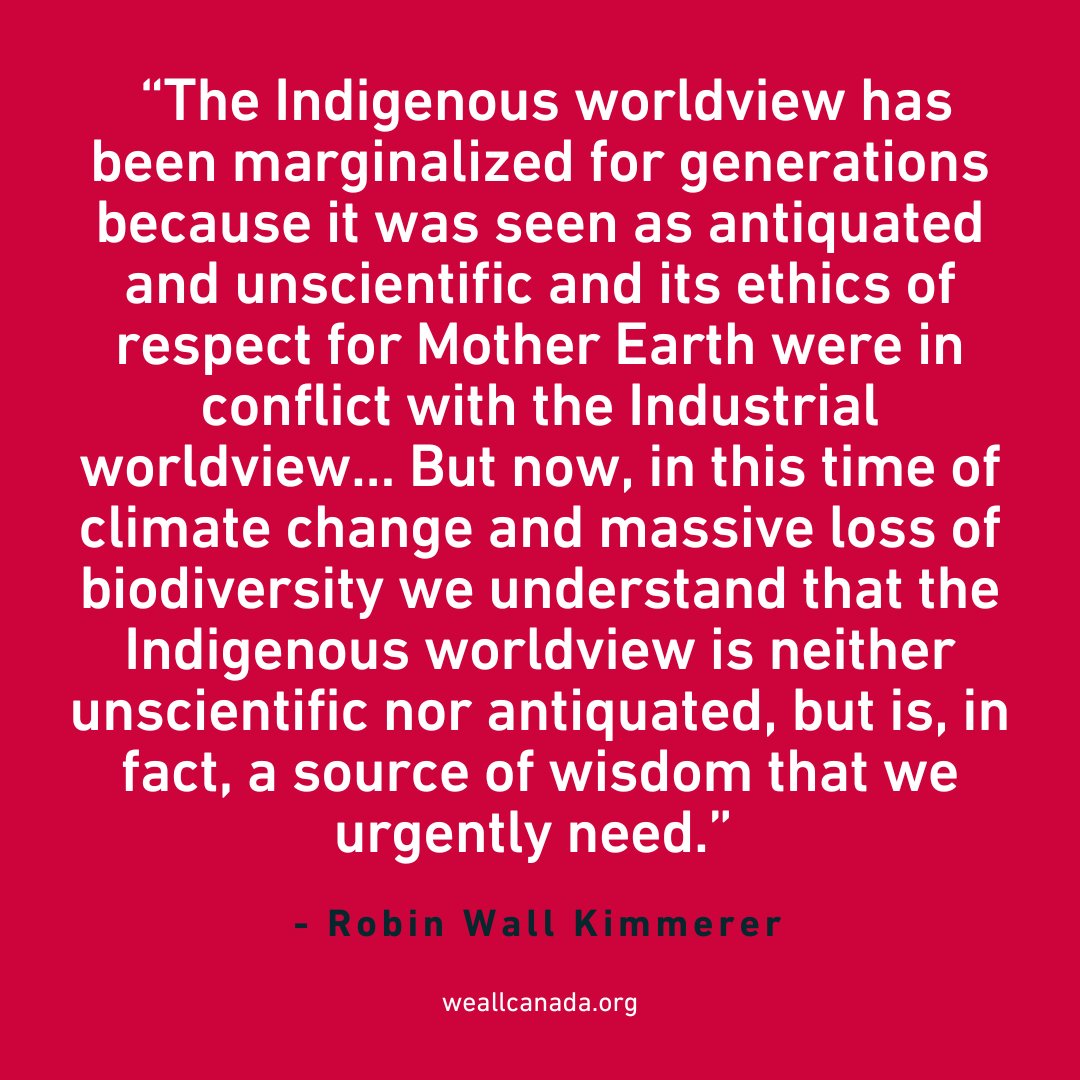 Indigenous wisdom is essential in creating an economy rooted in reconciliation, equity and nature. #WellbeingWednesday