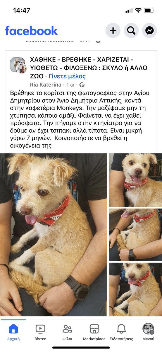 #χαθηκε #βρεθηκε