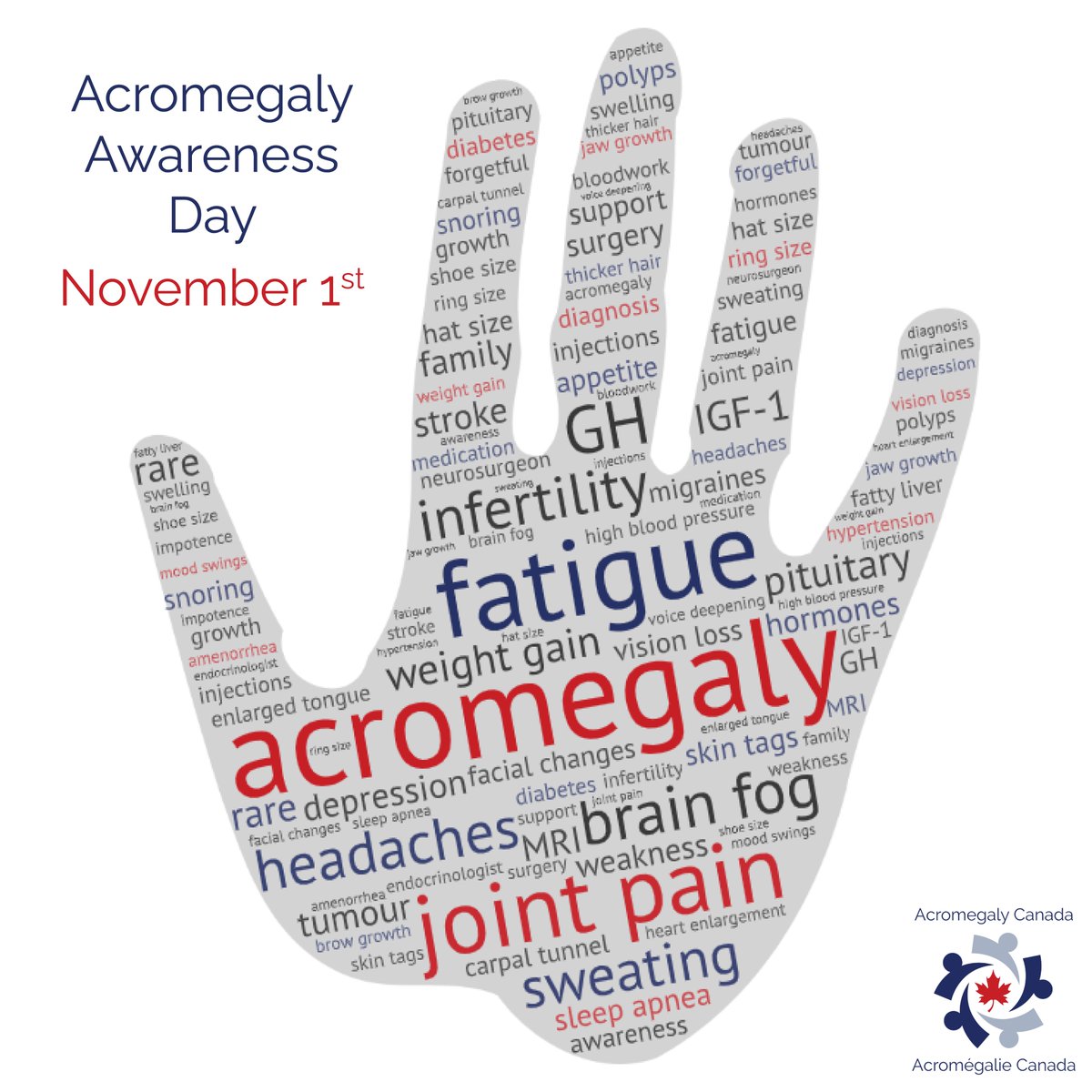 It's #AcromegalyAwarenessDay. #Acromegaly is caused by excess production of growth hormone in adults, usually due to a tumour on the #pituitary gland.

Join us today in sharing resources to raise awareness + reduce the time to get diagnosed.