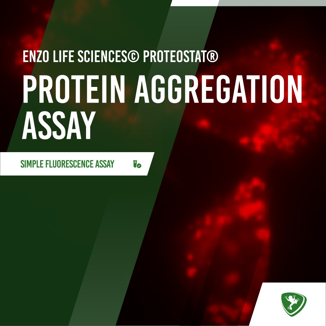 FroggaBio's tweet photo. Checkout the PROTEOSTAT® Protein Aggregation Assay by @EnzoLifeSci — available now at FroggaBio! Detect protein aggregation with precision and ease. 🐸🔬🧪

LEARN MORE: https://t.co/8BkNhjRXAA

#PROTEOSTAT #ProteinAggregation #AssayKit #EnzoLifeSciences #Biomolecular #FroggaBio https://t.co/BRs71K7Ecb