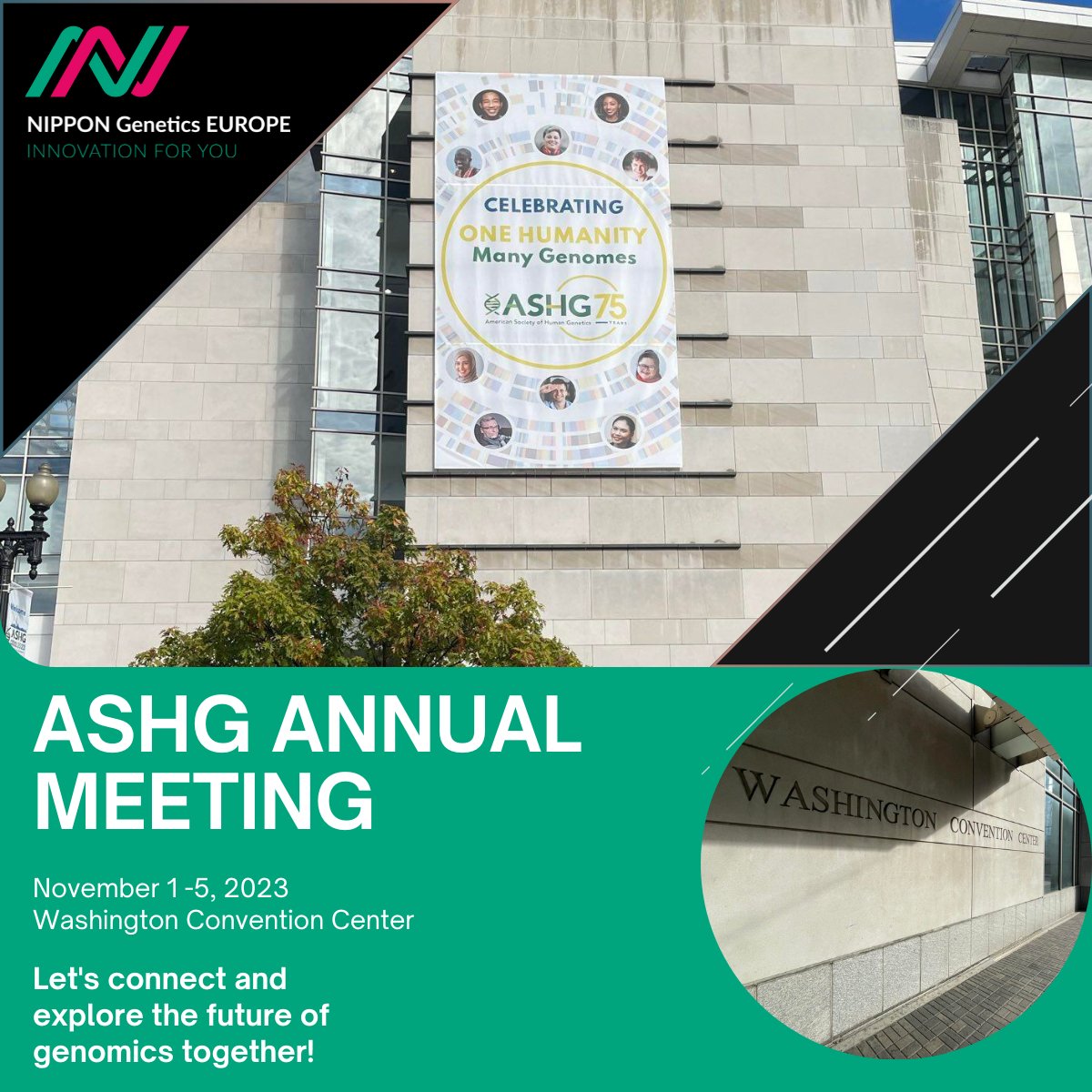 NipponGenEU's tweet image. Join us at the American Society of Human Genetics Annual Meeting from November 1 to November 5 📆.
Find us at 𝗕𝗼𝗼𝘁𝗵 𝟭𝟰𝟮𝟵 and discover amazing products we have prepared for you: from #geldocumentation systems to #cellculture products. 
#ASHG2023 #GenomicResearch