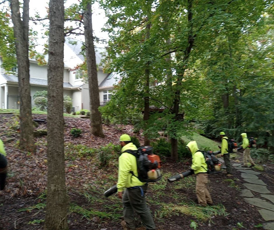 ArtisticTLC's tweet image. Fall is in full swing - that means it's time for leaf clean-up! Our team is here to help get your yard looking its best. Say goodbye to pesky leaves cluttering your lawn. Contact us today to schedule your leaf clean-up! 412-303-4443.

#landscaping  #LandscapeDesign  #leafcleanup