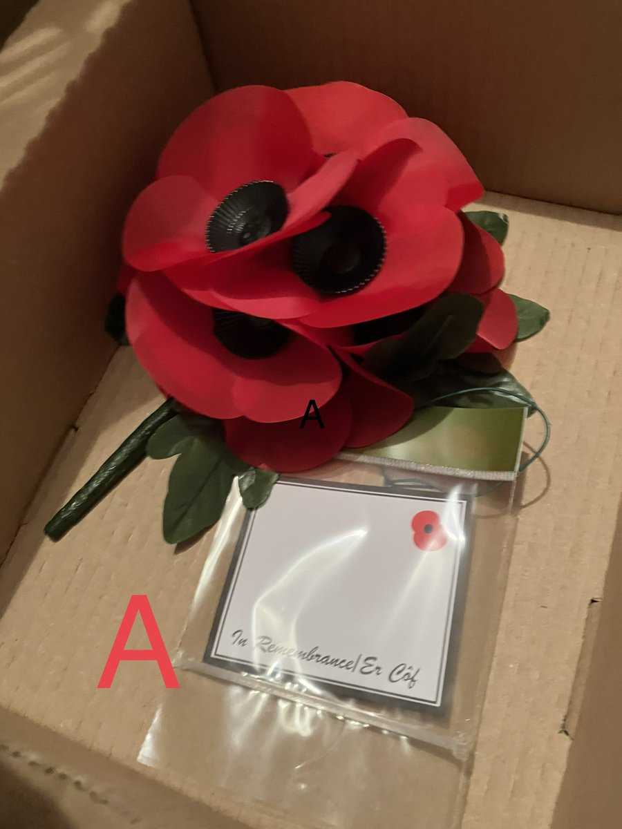 trudydavies1964's tweet photo. 🌺 If you need a wreath  🌺
@PoppyLegion
Please ring 01686412904 POA #RBL #RoyalBritishLegion 
 #RBLWS  
Pick up from shop #Woosnam #Llanidloes @trudydavies1964 
All money goes to #PoppyAppeal 
@RBL_Campaigns https://t.co/nSP2Z2wv2E