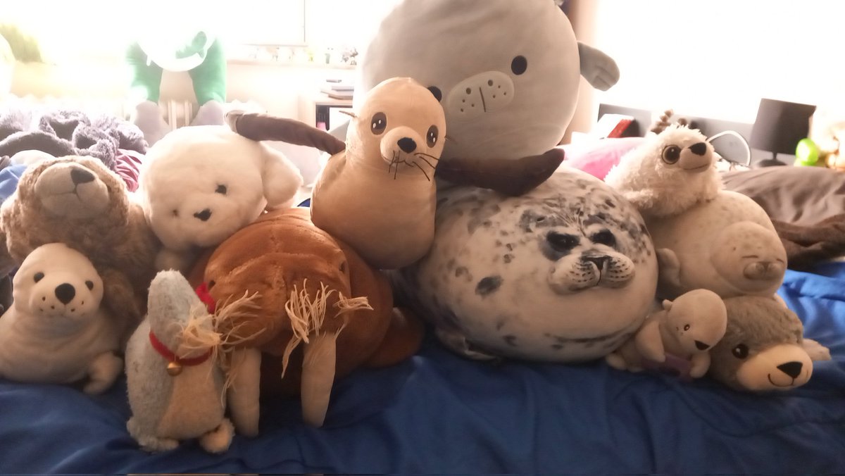 Here is our new seal plushies (in the middle) of @oceanconservationnamibia from @gimmeswagmerch with all his new seals friends ! A Plush made To raise awareness of the global plastic pollution crisis !

#oceanconservationnamibia 
#gimmeswagmerch
#sealplushie 
#seal
#sealplush