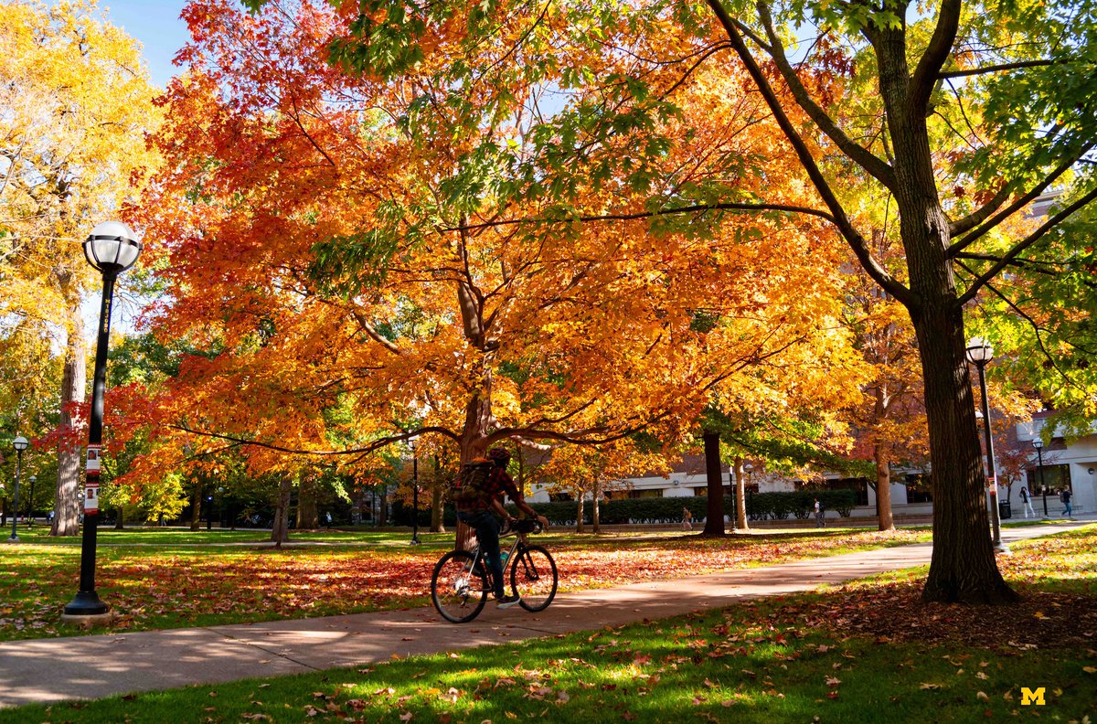 Happy November, Wolverines!