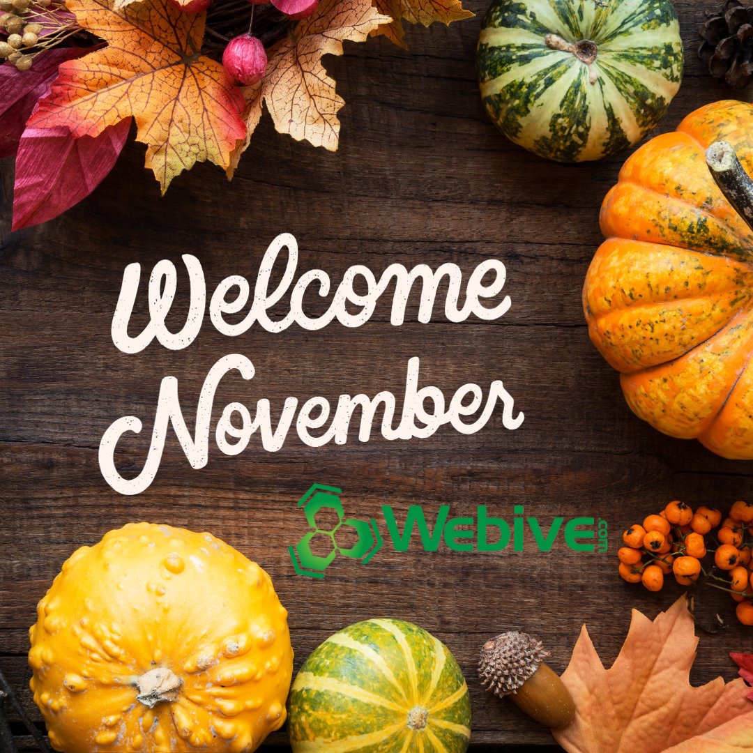 webivedotcom's tweet image. 🎉 Welcome November with an ad strategy that turns prospects into customers. Let&apos;s illuminate your business together!
📞 Call to book a free digital evaluation: 423-716-5352
#NovemberNurture #AdsThatWork #WebiveWins