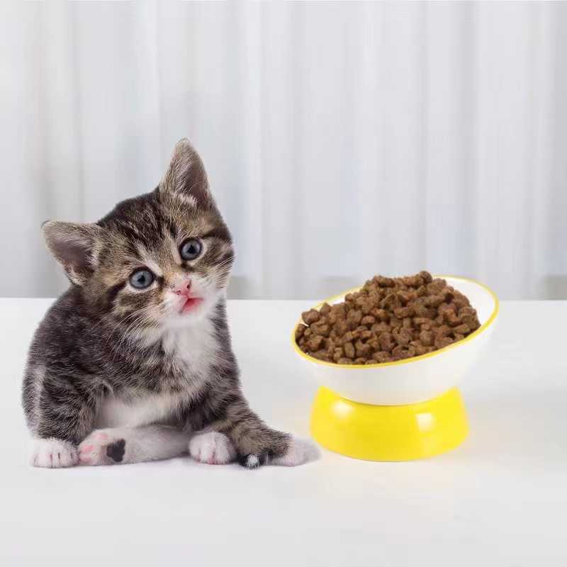 Our raised cat bowl helps your cat swallow more easily and reduce its neck burden.
#petfeed #petfeeder #petfeeding #dogfeeder #dogfeeding #dogfeeders #catfeeding #catfeeder #catfeeder #catbowl #catbowls #petbowl #petbowls #dogbowl #dogbowls #dogproducts #petproducts #catproducts