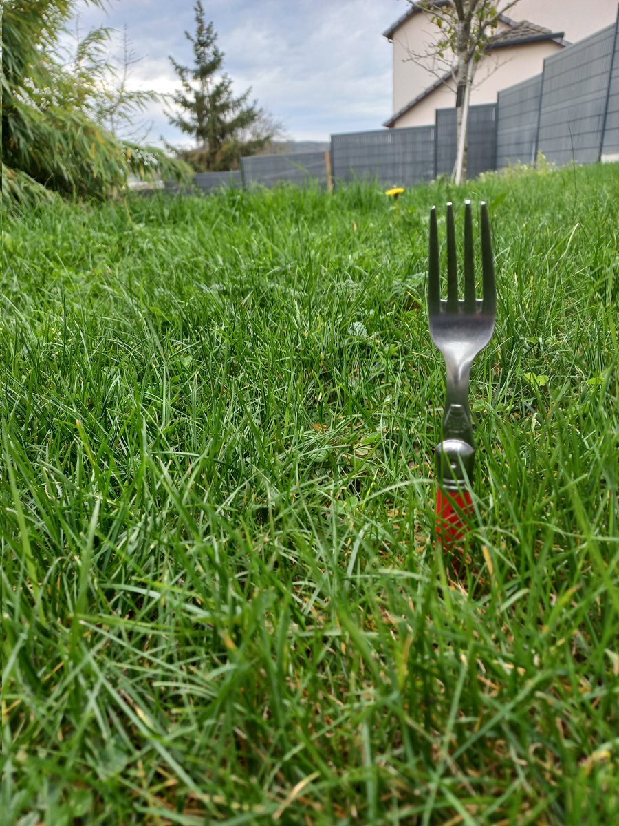 F5LEN - Pascal 🇺🇦 tweet media