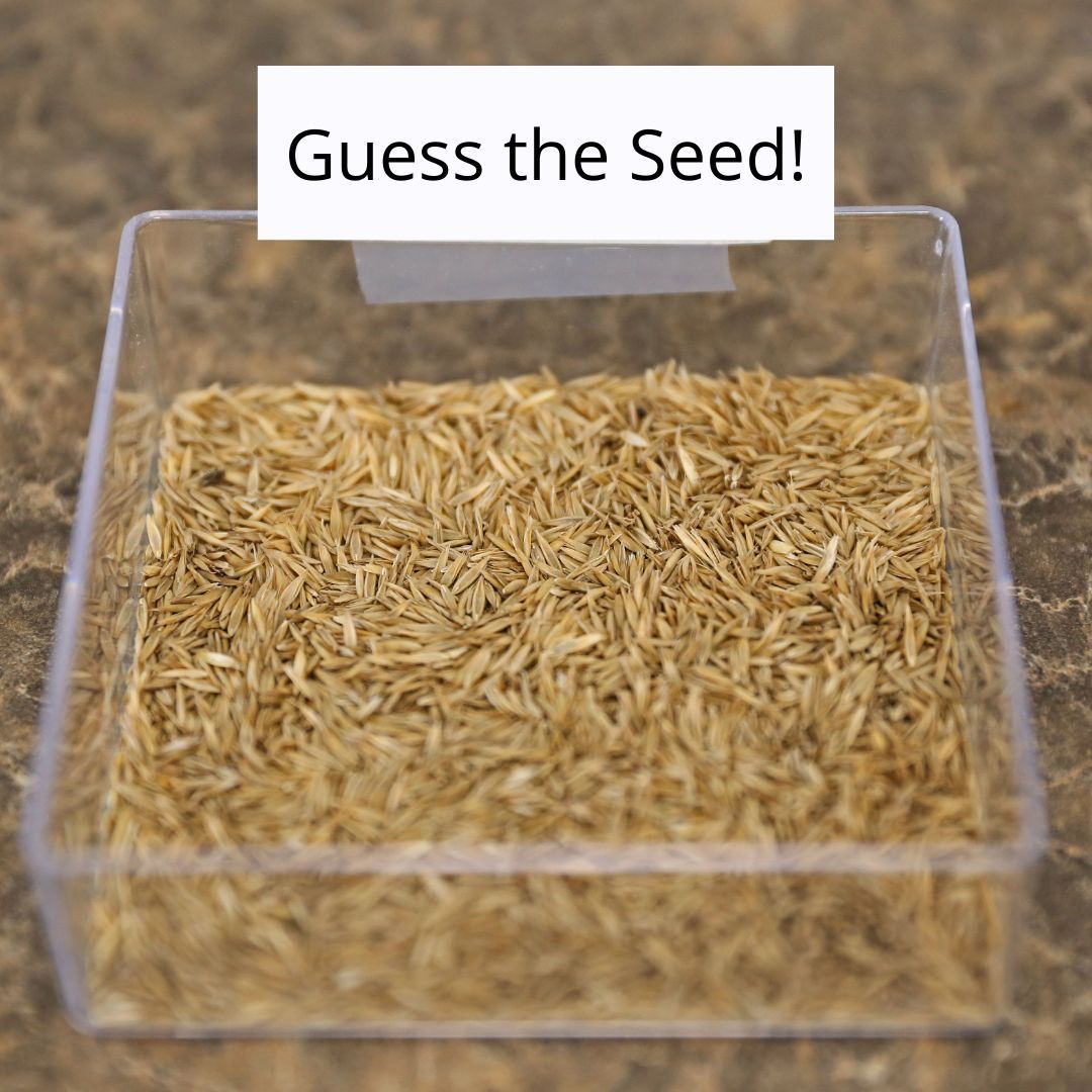 Do you have a minute?
This is of integral importance.
It's Wednesday, so we ask ... no, NEED you, to #GUESSTHATSEED !🌱