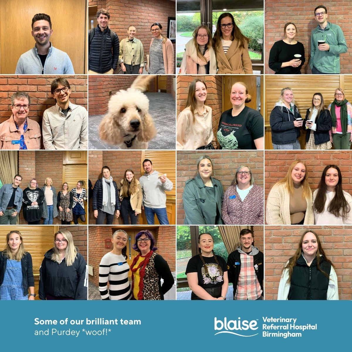 Blaise Veterinary Referral Hospital Birmingham tweet media