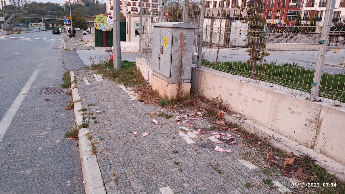 doga_dostu_'s tweet photo. Bir arkadaşımızın çekip gönderdiği evinin önü; başıboş hayvanlar için çiğ etler yollara saçılmış, bir süre sonra etlerde bakteri üreyecek, koku oluşacak, beslenen köpekler bölgede alan koruması yapacak, toplum sağlığı ve güvenliği hiçe sayılıyor
@TCTarim @csbgovtr #TürkiyeYüzyılı https://t.co/xKpqZ4gA1p