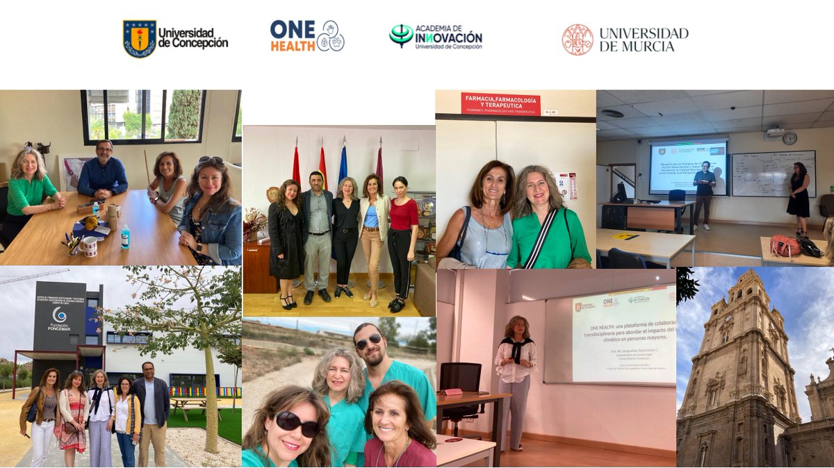 Jacqueline Sepúlveda (@jackieudec) on Twitter photo Desde la bella ciudad de #Murcia, en la <a href="/UMU/">Universidad Murcia</a> tuvimos una intensa agenda, logrando fortalecer lazos académicos y de amistad.
Esperamos seguir colaborando al alero del concepto de #OneHealth en #FormaciónInterprofesional e #Internacionalización.🇨🇱🇪🇸
#Murcia, que hermosa eres”!! Desde la bella ciudad de #Murcia, en la <a href="/UMU/">Universidad Murcia</a> tuvimos una intensa agenda, logrando fortalecer lazos académicos y de amistad.
Esperamos seguir colaborando al alero del concepto de #OneHealth en #FormaciónInterprofesional e #Internacionalización.🇨🇱🇪🇸
#Murcia, que hermosa eres”!!