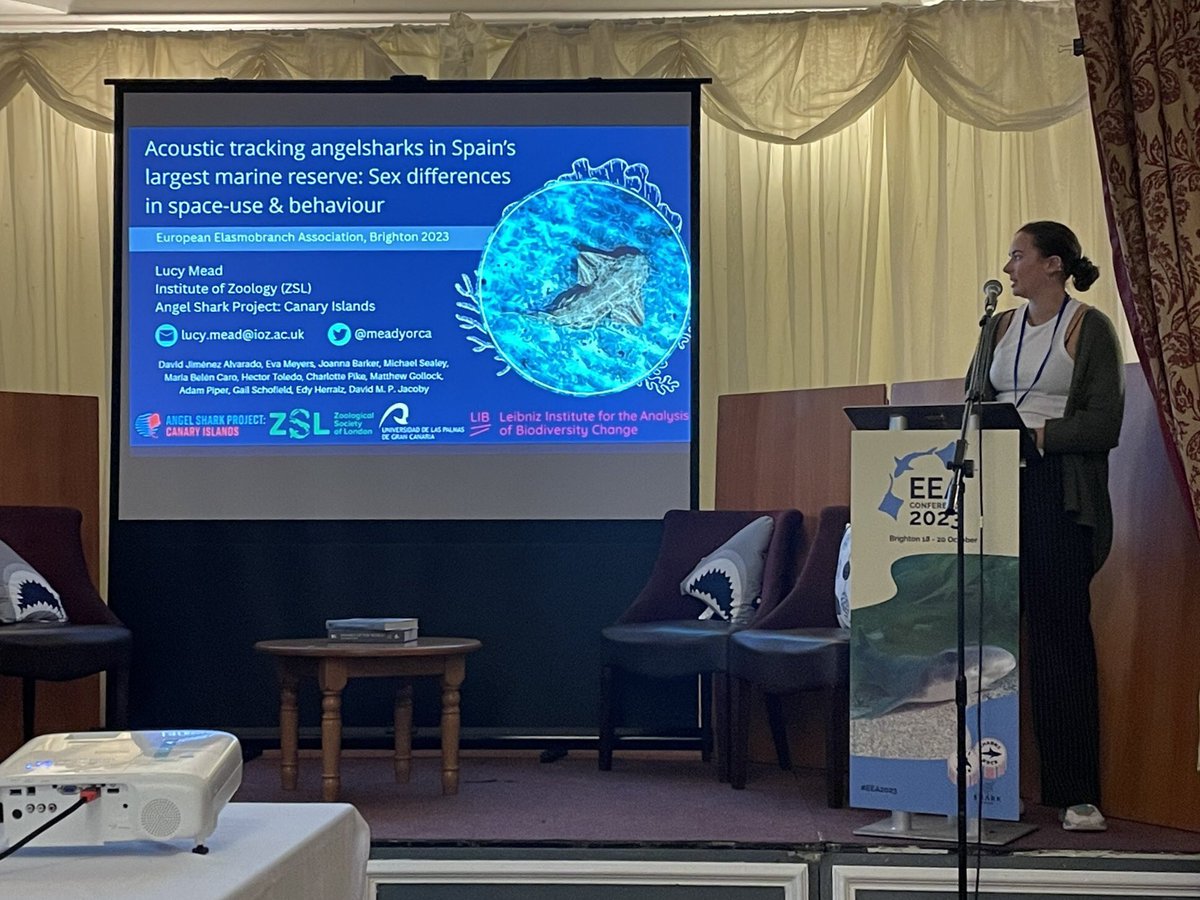 meadyorca's tweet photo. (1/2) Late on posting this, but it was a pleasure to present at #EEA2023 on some of our findings from #acoustictracking #angelsharks in the Canary Islands! ๐ฆ ๐บ
@angelshark2014 @OfficialZSL @ULPGC #MuseumKoenig https://t.co/j3x7K0QyRb