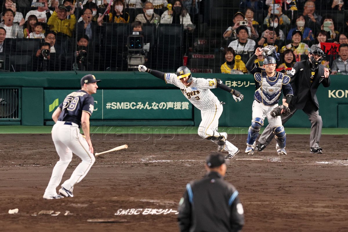 NikkanNaruohama's tweet photo. #大山悠輔 選手のサヨナラ打で日本一王手阻止！！
#阪神タイガース #日本シリーズ #甲子園 https://t.co/fIIVZqsSUu