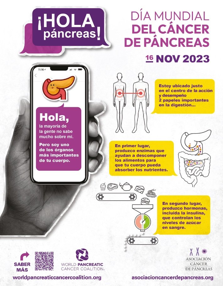 PNavarro_Lab's tweet photo. Hoy empieza el #PancreaticCancerAwarenessMonth 💜con el objetivo de concienciar a la población sobre esta enfermedad y sobre la importancia de invertir 💰 en su investigación para mejorar la calidad de vida de los pacientes. En @PNavarro_Lab trabajamos cada día para ello👩🏻‍🔬💪. https://t.co/1D8WnKXtrJ