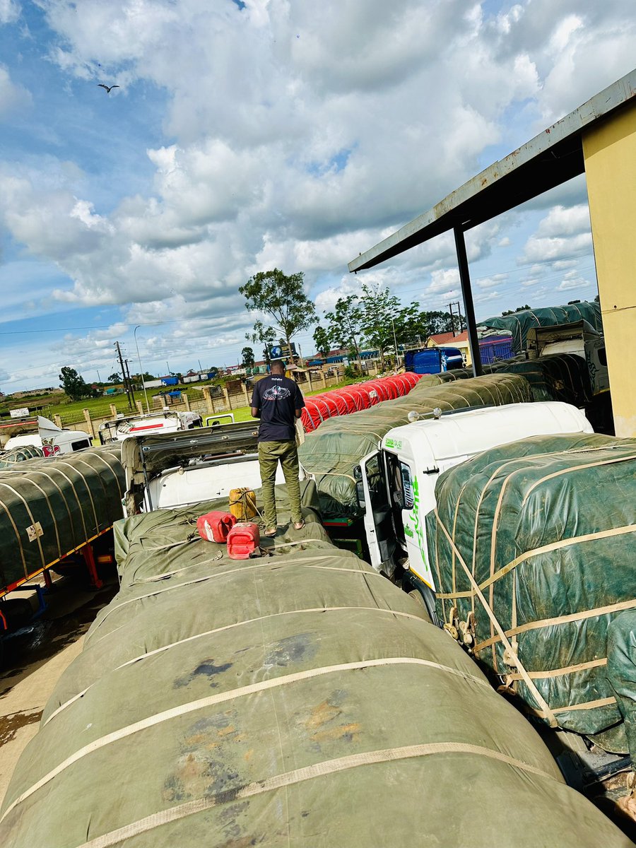 roxie_ug's tweet photo. Hello @URAuganda & @URA_CG,

Why can’t you provide an immediate solution to the suffering Ugandan traders whose rice trucks were confiscated in your premises at MUTUKULA boarder 2 weeks ago??

Are you aware that most of them have running loans? Are you aware transporters are charging them every passing day?  Can’t you conduct quick lab tests on the produce goods you claim are not from the EAC?

We are resuming protests tommorow morning if you don’t provide an immediate solution, the CG should come to the ground & discuss further with the concerned parties, you can charge a Tax more than the initial price of the Goods.

URA Mulimba nyoo namwe. 🙌