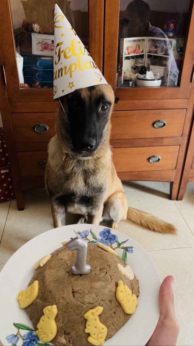 Un añito cumple hoy este bicho🥹