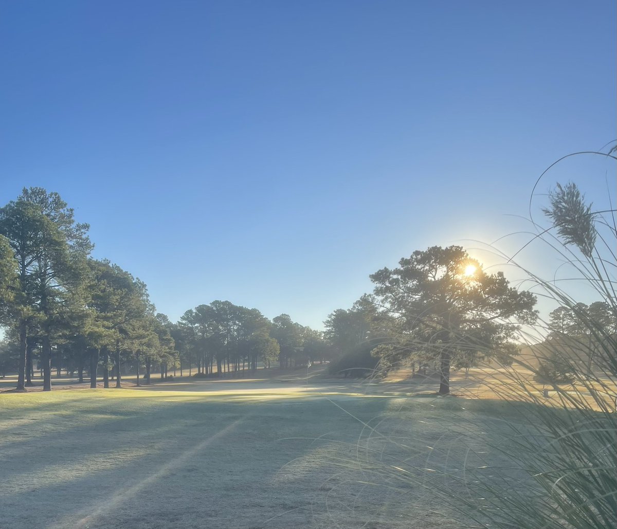 liveoaksgolf's tweet photo. Brrrr!! Man, it’s cold! However, we are open and taking #teetimes - Call our pro shop to make yours! 601-982-1231 #BestGreens #ColdestBeer https://t.co/J2QDXJ3BMA