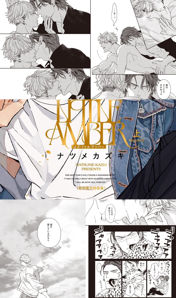 ナツメカズキ ヒズ・リトル・アンバー NUUDE B2雑誌ポスター 2枚 Amazon.co.jp: ヒズ・リトル・アンバー 上 (光文社 BL COMICS / Vinyl