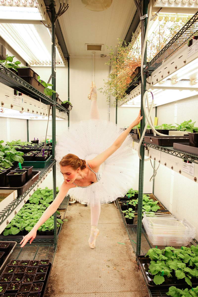 EleonoraMoratto's tweet photo. Cheers to a sciency World Ballet Day!
Thank you @imperialcollege and @ImperialSci for the beautiful #SciArt shot in the plant room!
#WorldBalletDay #womeninSTEM #STEAM #tutulife #phdlife https://t.co/bJZDtyOeGg